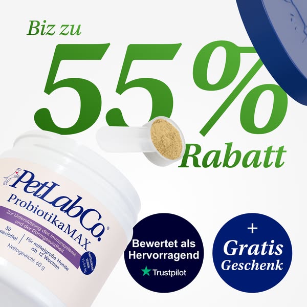 55% auf Probiotika! ⏳ Jetzt Angebot sichern!